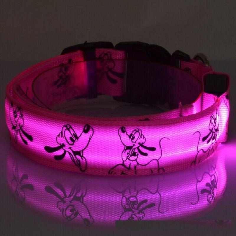 LED Dog Collar for Night Walks: Glows Visible in the Dark