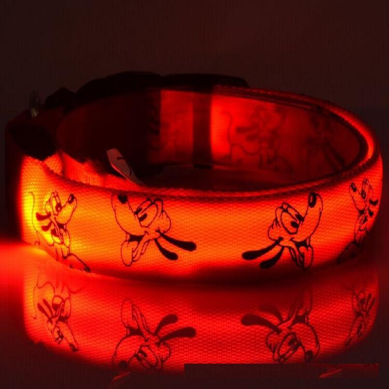 LED Dog Collar for Night Walks: Glows Visible in the Dark
