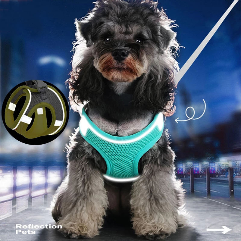 No-Pull Reflective Dog Harness for Safer Evening Walks