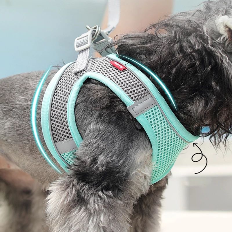 No-Pull Reflective Dog Harness for Safer Evening Walks