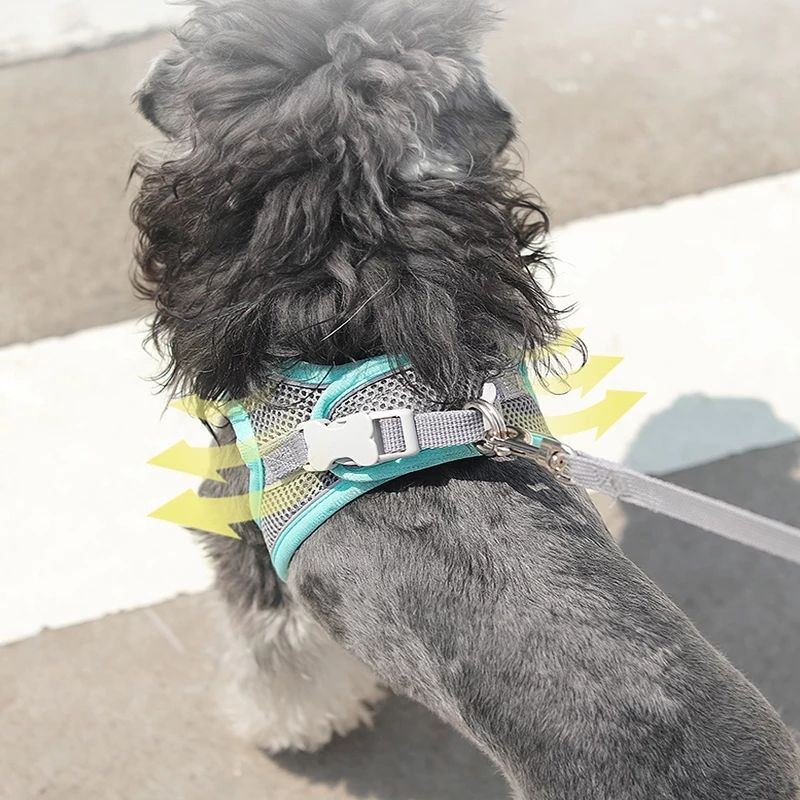 No-Pull Reflective Dog Harness for Safer Evening Walks