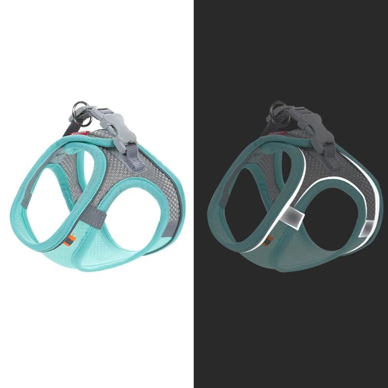 No-Pull Reflective Dog Harness for Safer Evening Walks
