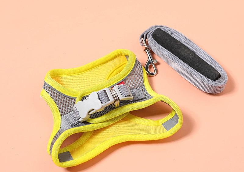 No-Pull Reflective Dog Harness for Safer Evening Walks
