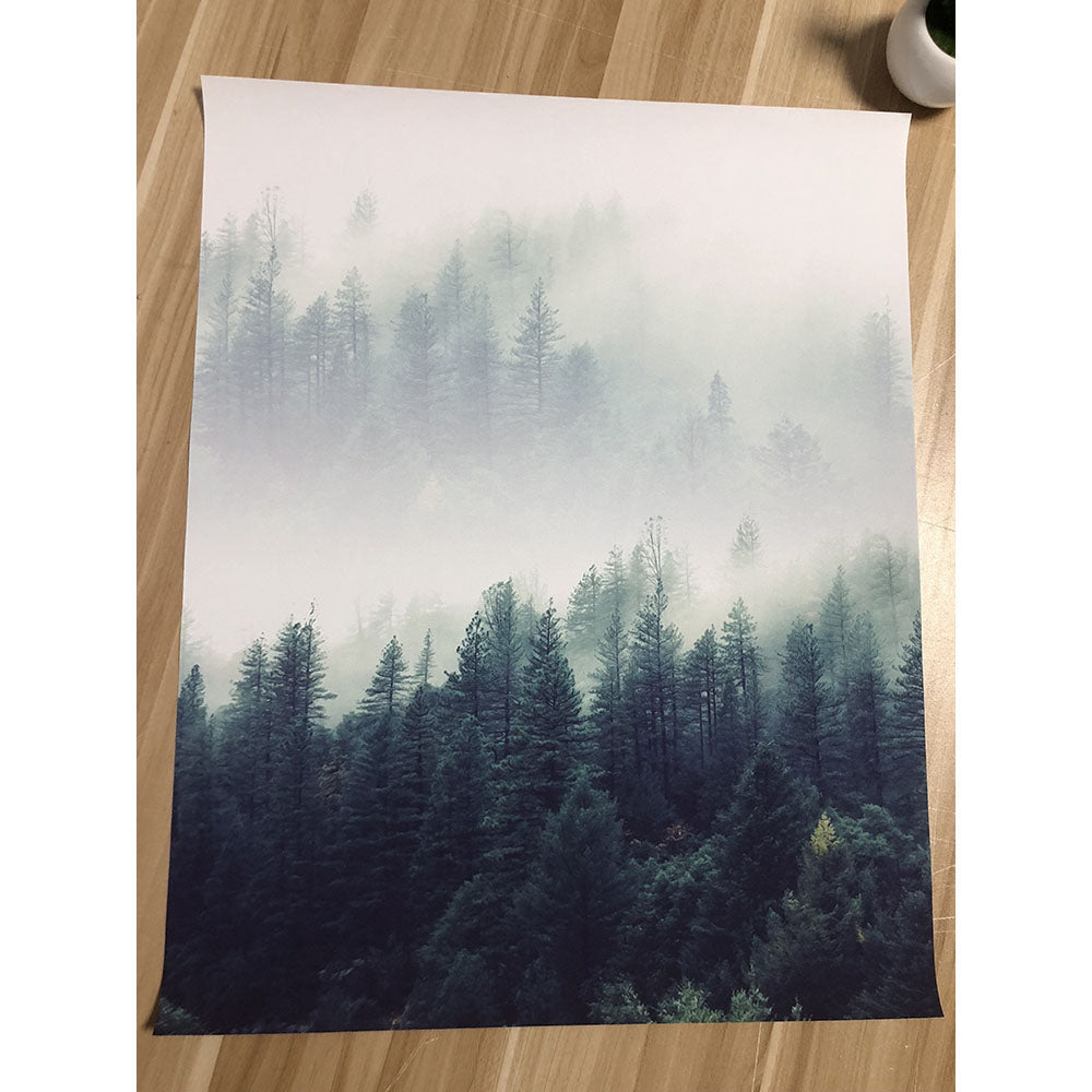 Nordic Forest Canvas Wall Art for Serene Interiors