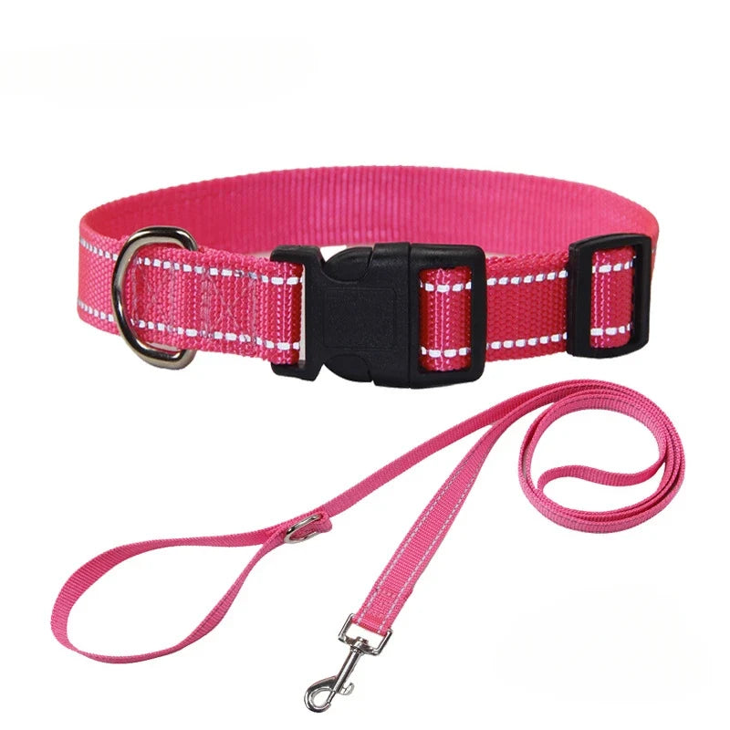 Reflective Nylon Dog Collar and Leash Set for Walks
