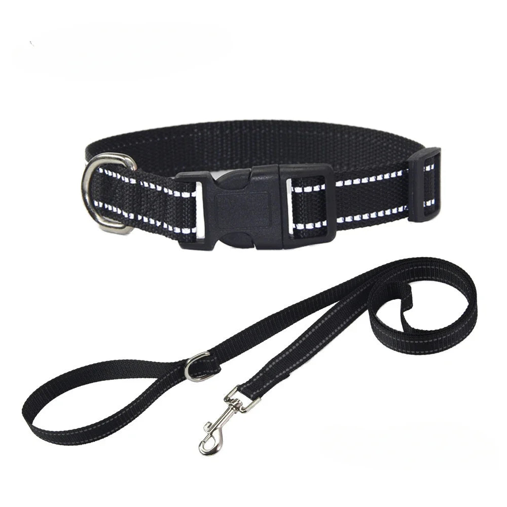 Reflective Nylon Dog Collar and Leash Set for Walks