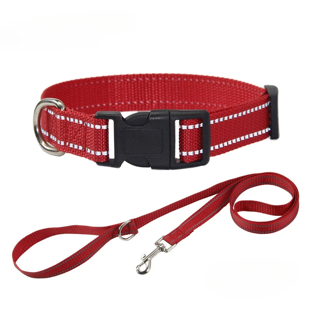 Reflective Nylon Dog Collar and Leash Set for Walks