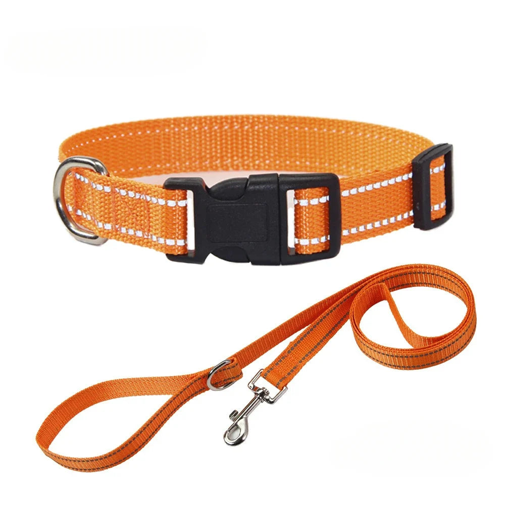 Reflective Nylon Dog Collar and Leash Set for Walks