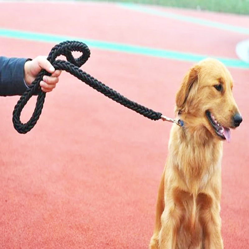 Nylon Dog Leash for Large Dogs | Eight-Strand Rope