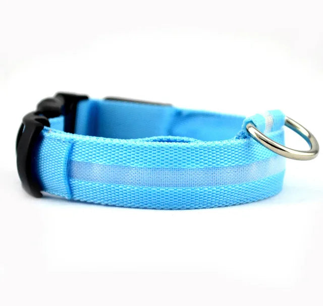 LED Dog Collar for Night Walks, Visible in the Dark
