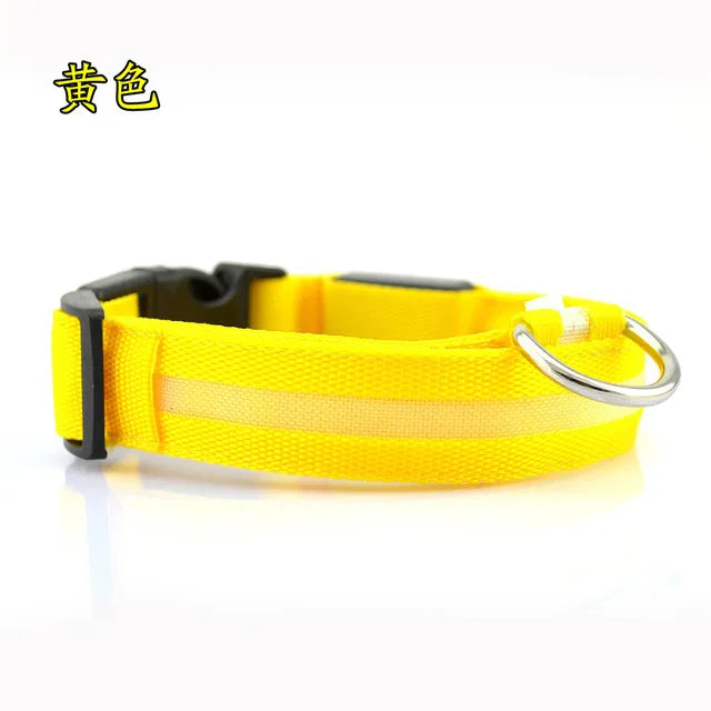 LED Dog Collar for Night Walks, Visible in the Dark
