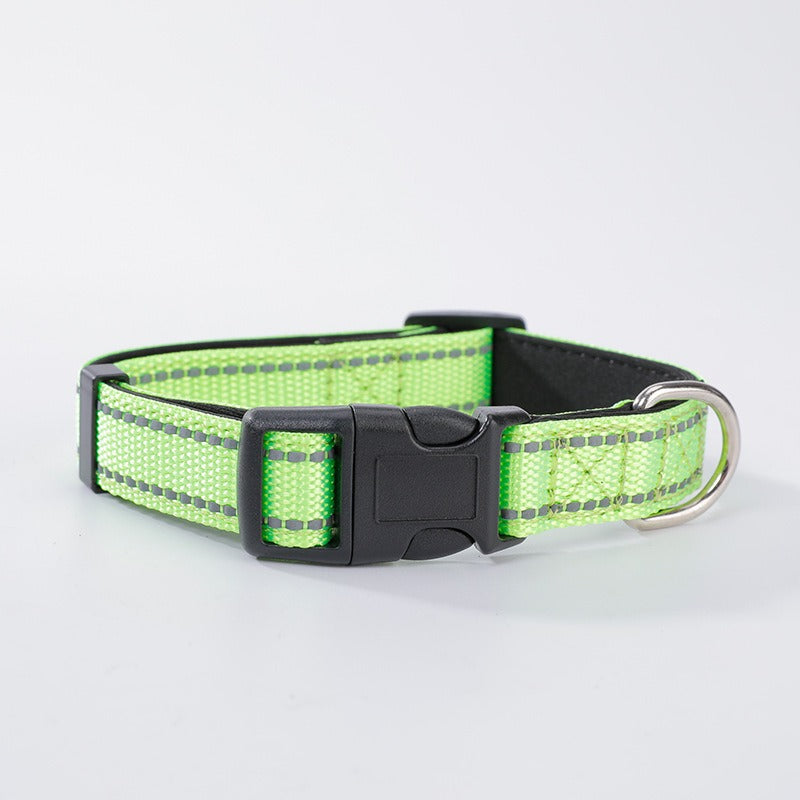 Reflective Nylon Dog Collar for Safer Evening Walks