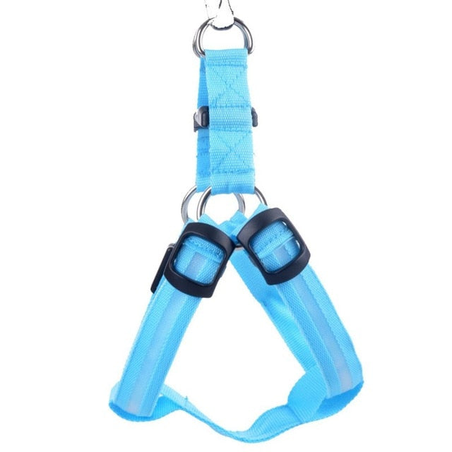 LED Dog Harness for Safer, High-Visibility Night Walks
