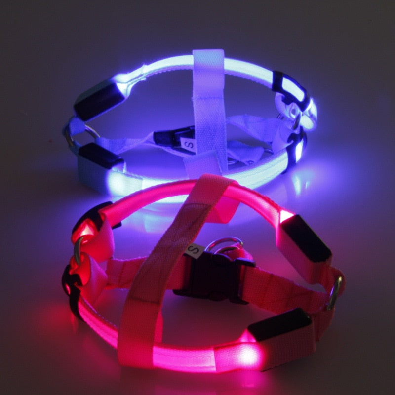 LED Dog Harness for Safer, High-Visibility Night Walks