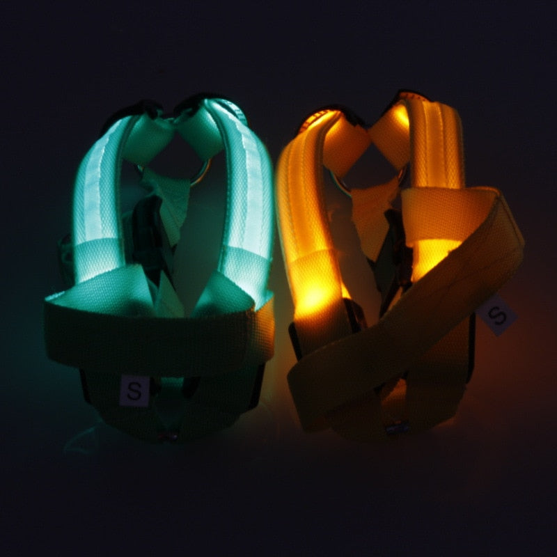 LED Dog Harness for Safer, High-Visibility Night Walks