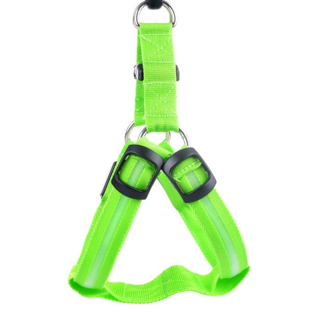 LED Dog Harness for Safer, High-Visibility Night Walks