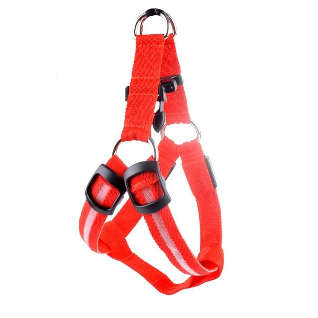 LED Dog Harness for Safer, High-Visibility Night Walks