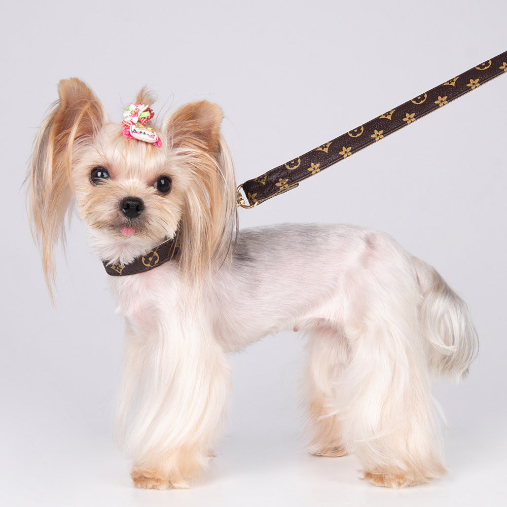 Designer Pet Collar and Leash Set for Polished Walks