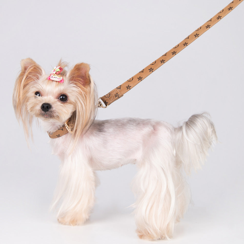 Designer Pet Collar and Leash Set for Polished Walks