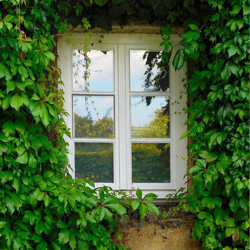 One-Way Window Privacy Film for UV and Heat Control