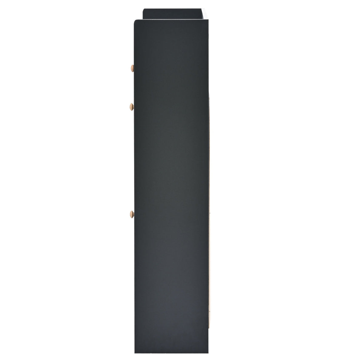 Black Shoe Cabinet with Hidden Flip-Down Shoe Storage