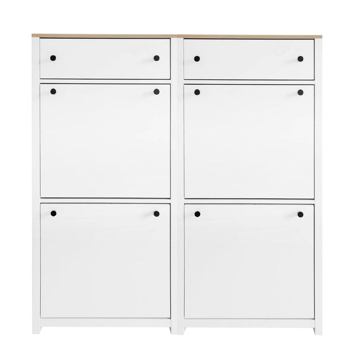 Slim Shoe Cabinet with Flip Doors for Entryway Storage