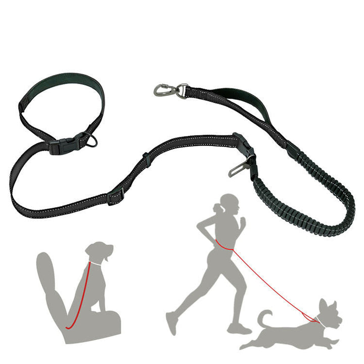 6-in-1 Dog Leash for Hands-Free Walking & Running Dogs