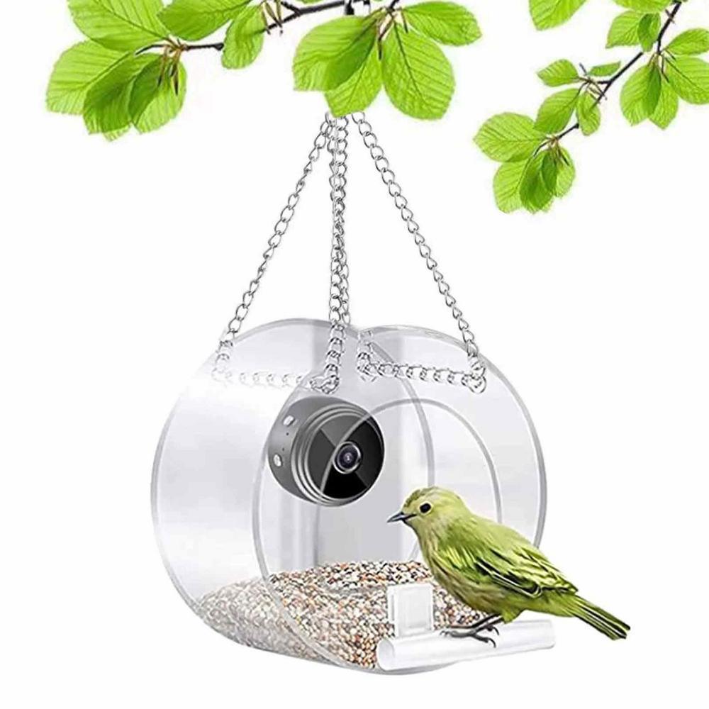 Outdoor Bird Feeder Camera for Real-Time Bird Views