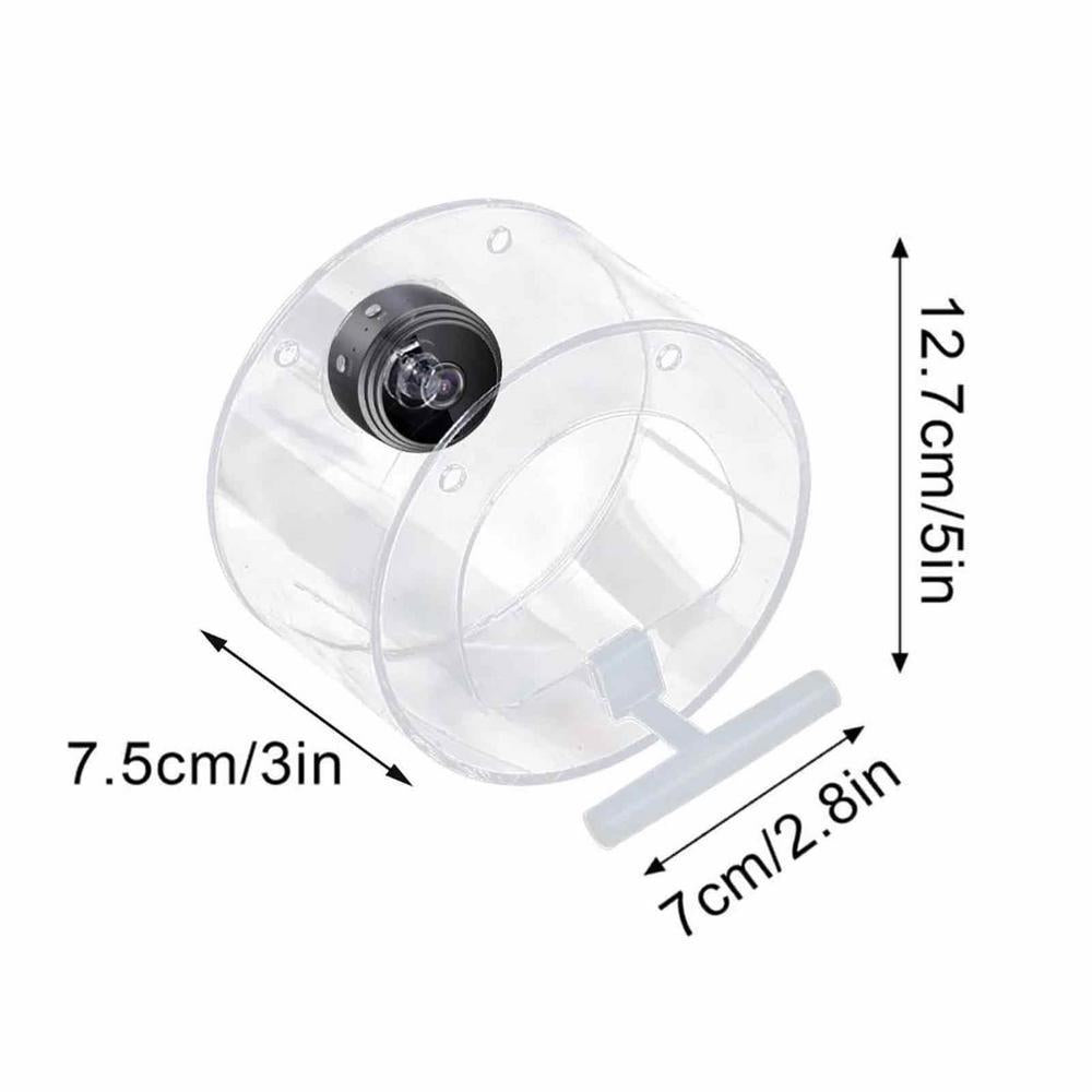 Outdoor Bird Feeder Camera for Real-Time Bird Views
