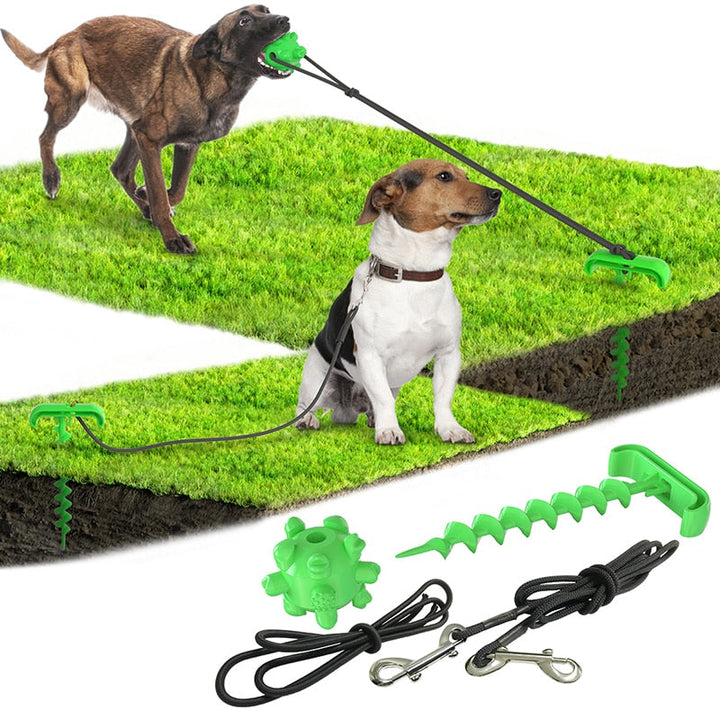 Outdoor Dog Tie-Out Stake Set for Secure Yard Play
