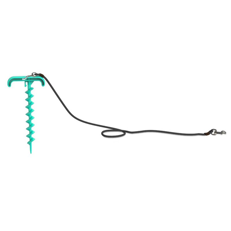 Outdoor Dog Tie-Out Stake Set for Secure Yard Play