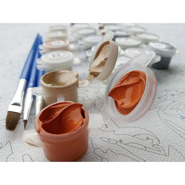 Painting By Numbers Kit for Relaxing Creative Time