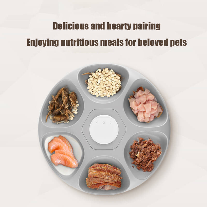Automatic Pet Feeder for Wet Food, Six Scheduled Meals