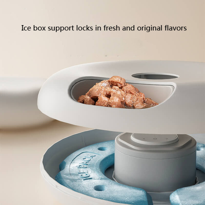 Automatic Pet Feeder for Wet Food, Six Scheduled Meals