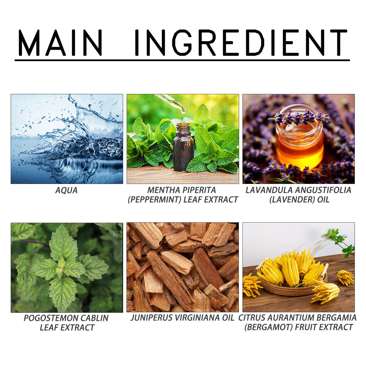 Men's Travel Fragrance for Fresh, Confident Everyday Wear