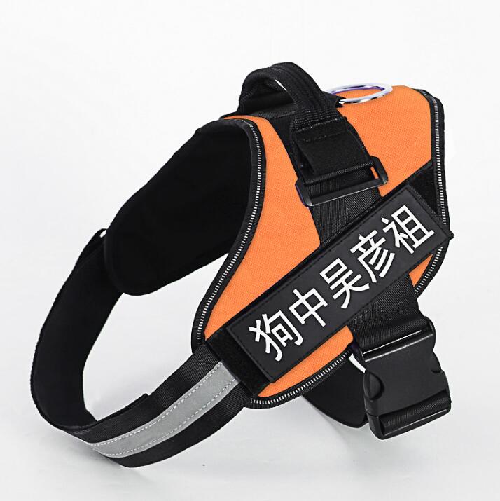 Personalized No-Pull Dog Harness With Reflective ID