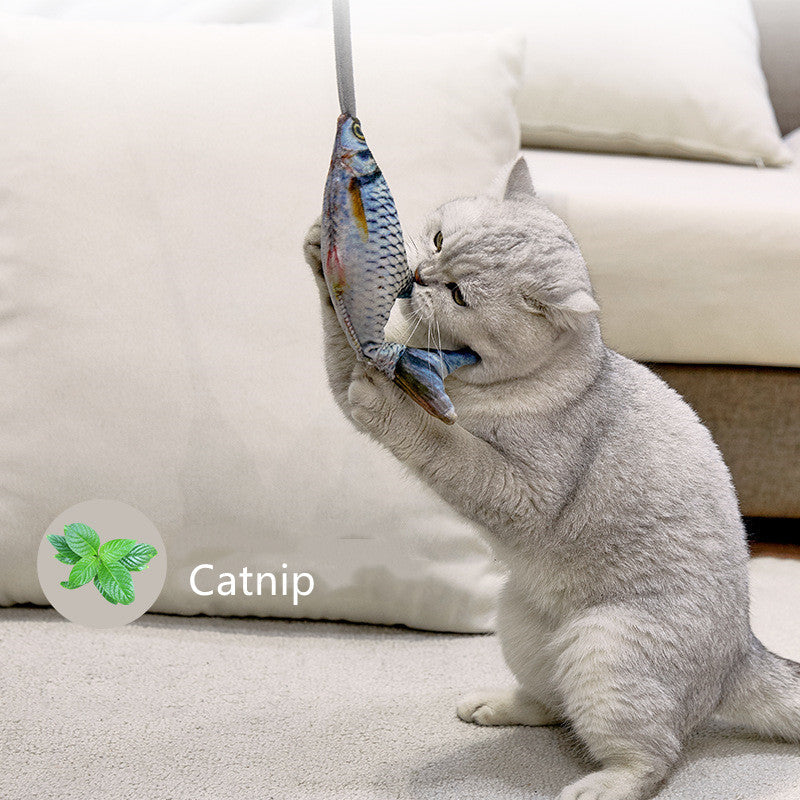 Interactive Cat Toy for Active Indoor Cat Exercise