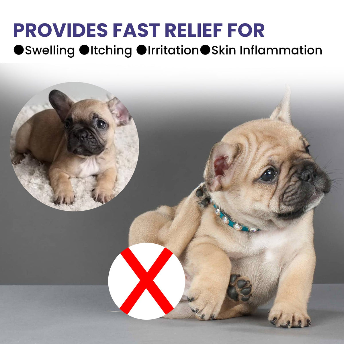 Pet Hydrocortisone Spray for Itch & Hot Spot Relief