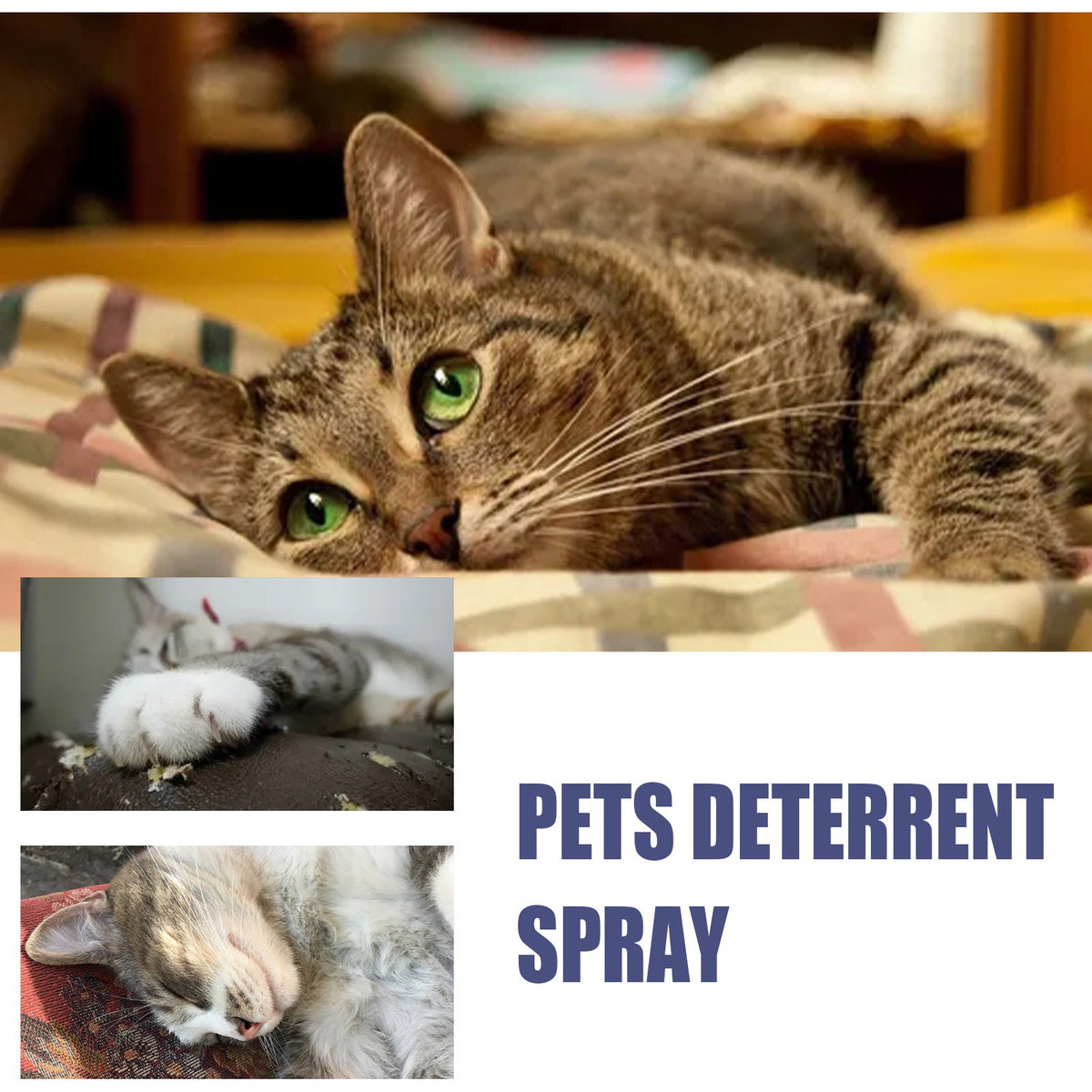 Pet Anti-Scratch Training Spray for Sofa Protection