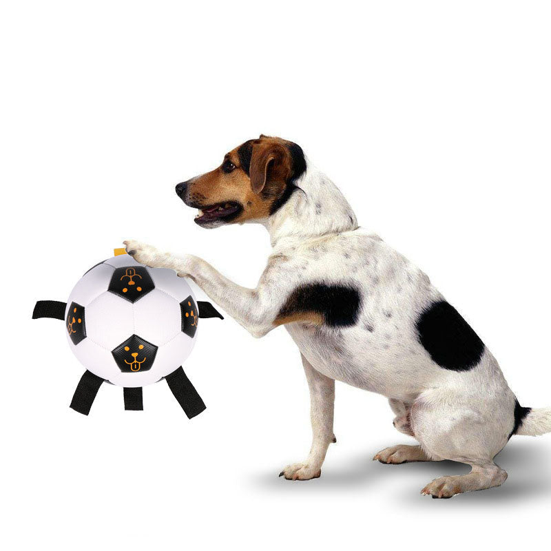 Interactive Dog Ball Toy for Fetch, Tug and Training