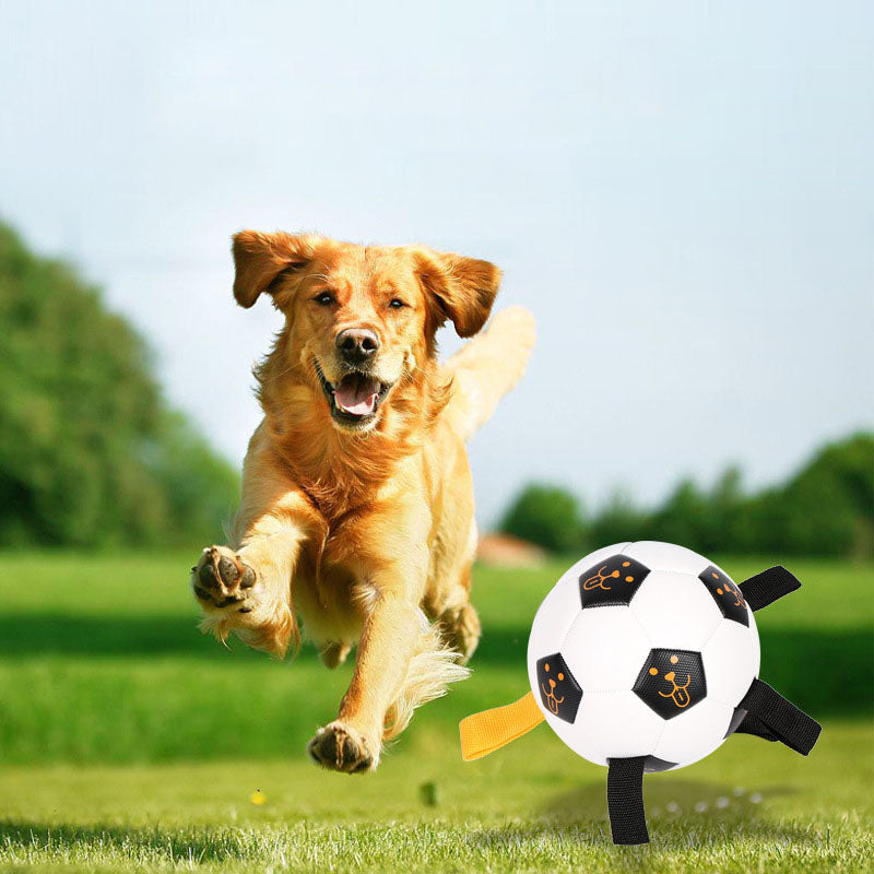 Interactive Dog Ball Toy for Fetch, Tug and Training