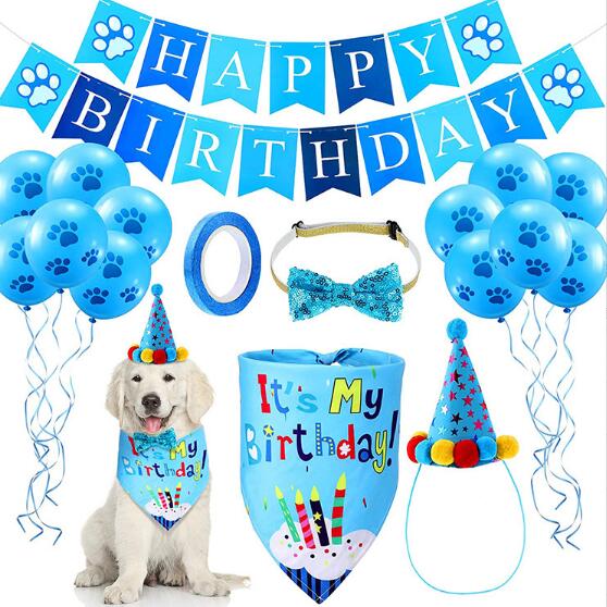 Pet Birthday Party Set for Colorful Dog Party Photos