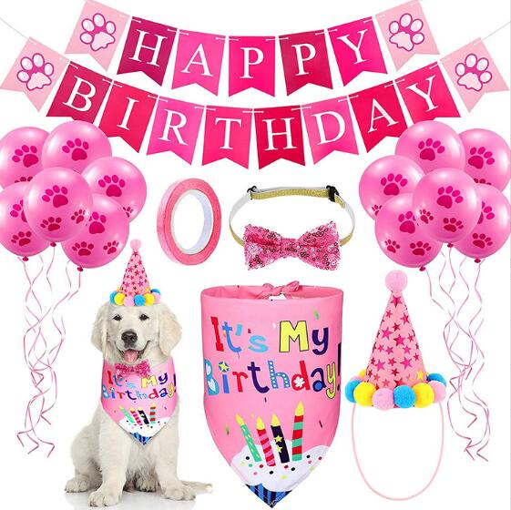 Pet Birthday Party Set for Colorful Dog Party Photos