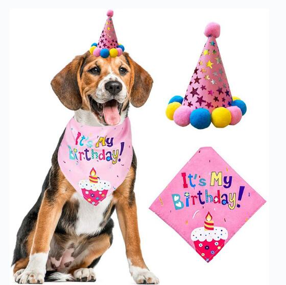 Pet Birthday Party Set for Colorful Dog Party Photos