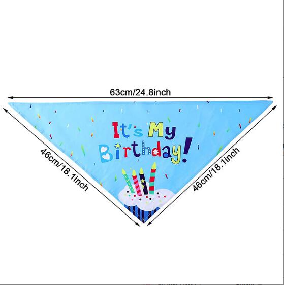 Pet Birthday Party Set for Colorful Dog Party Photos
