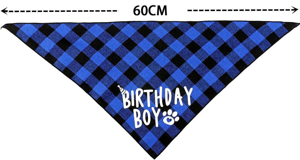 Dog Birthday Outfit Set: Photo-Ready Party Celebration