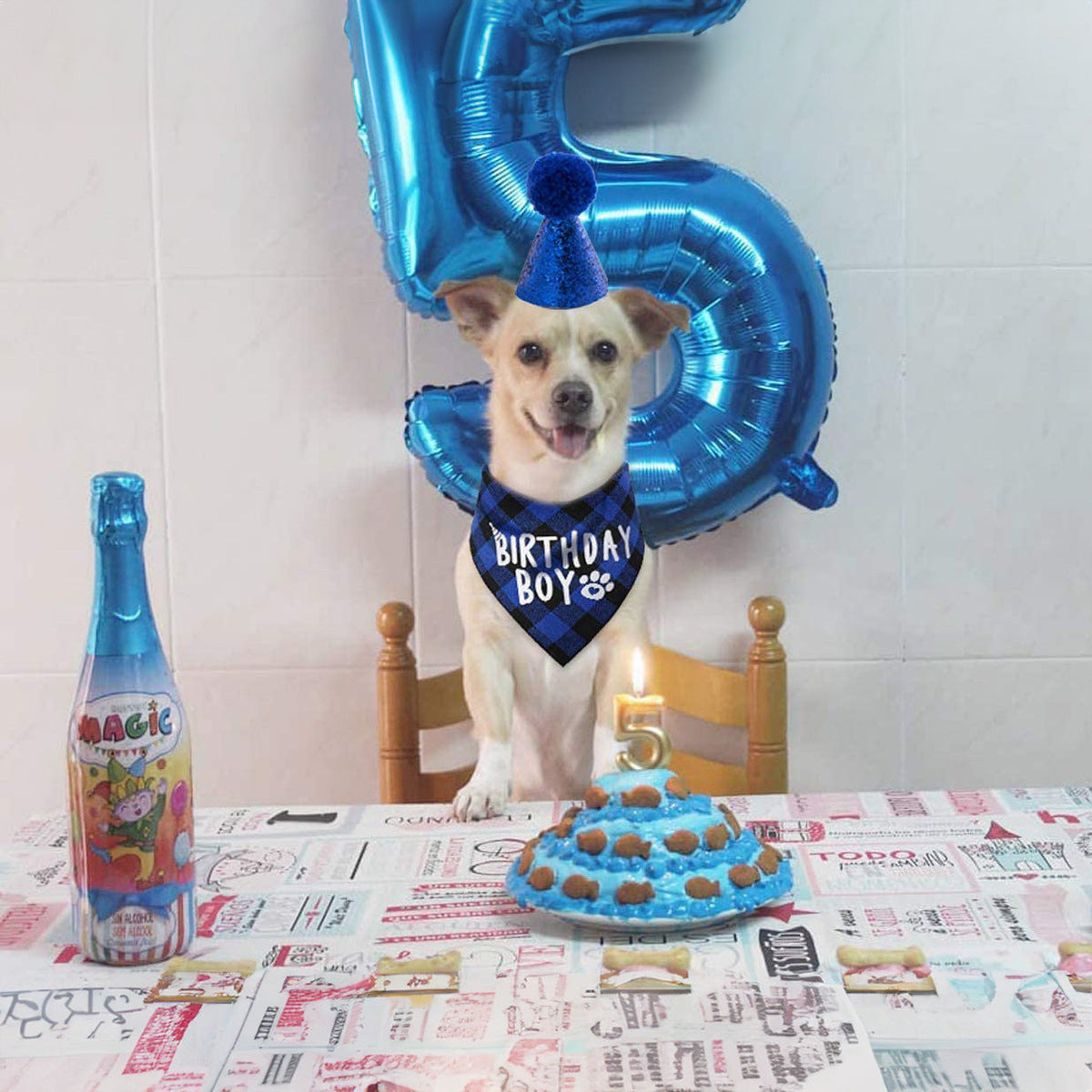 Dog Birthday Outfit Set: Photo-Ready Party Celebration