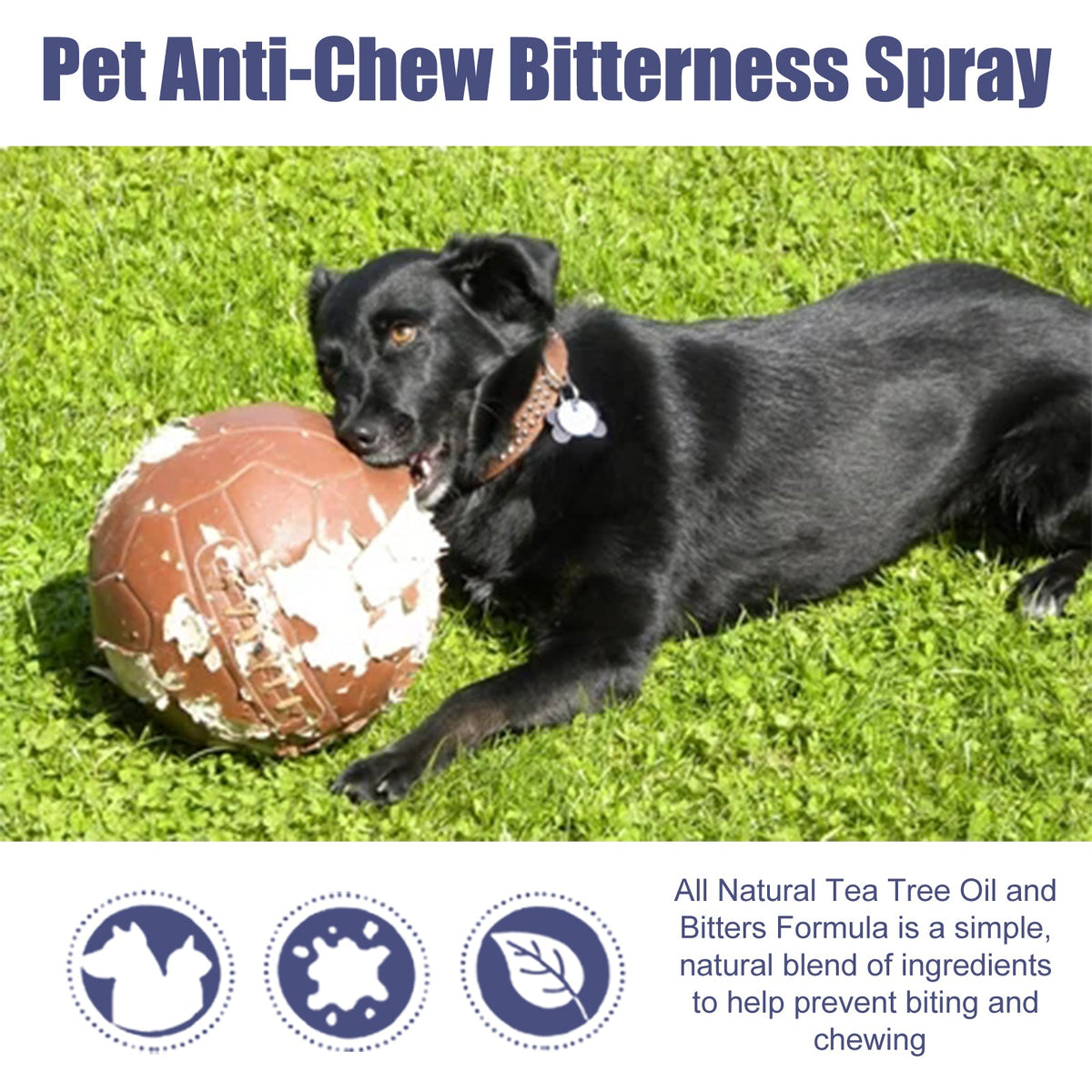 Dog Anti-Chew Spray for Furniture & Puppy Training