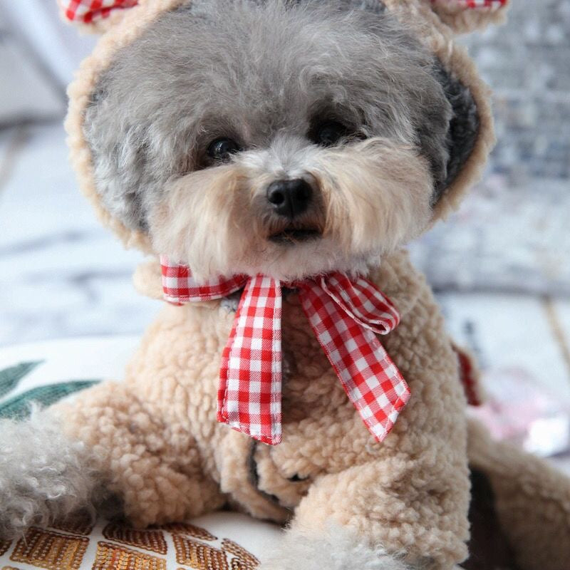 Small Dog Winter Clothes | Full-Body Teddy Fleece