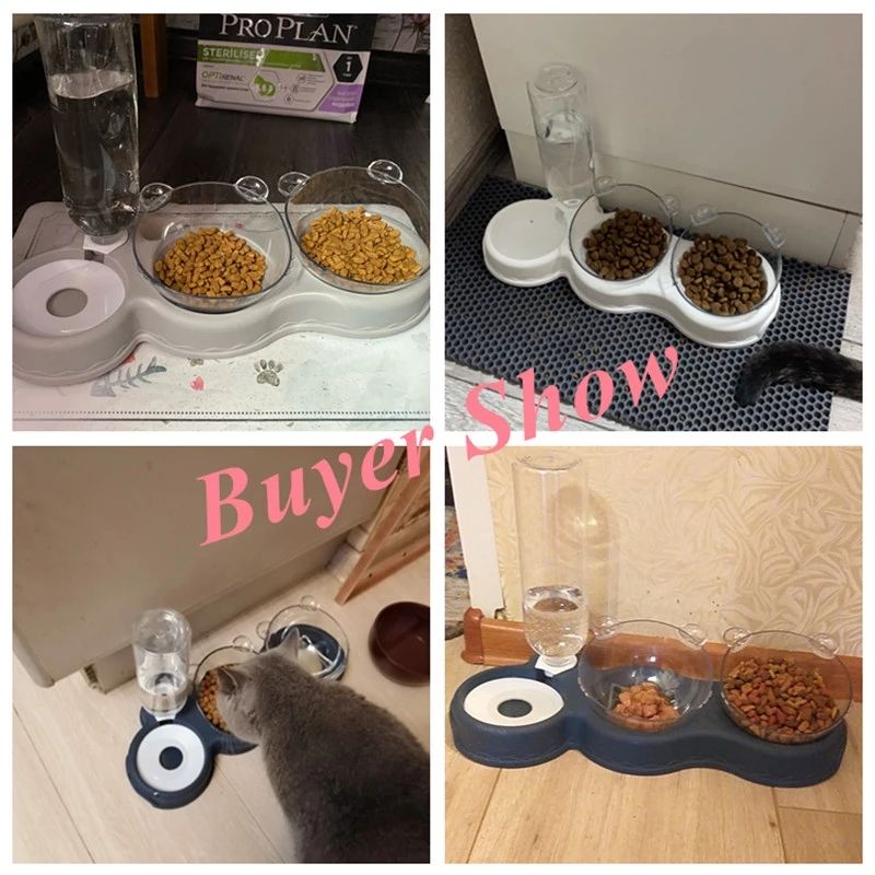 Double Pet Bowl With Automatic Water Feeding Station